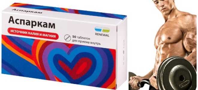 Аспаркам в бодибилдинге отзывы