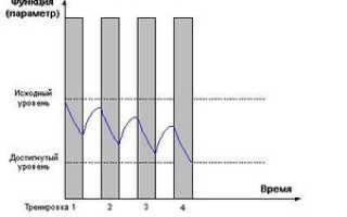 Частота тренировок в неделю для похудения