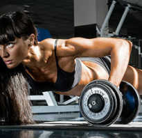 Программа для зала для девушек начинающих