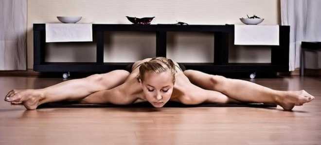 Йога с чего начать в домашних условиях