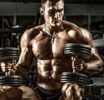 3 базовых упражнения в один день