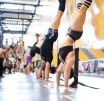 Комплексы кроссфит для новичков