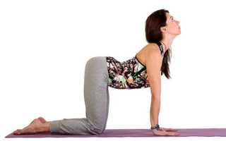 Йога тренировка для спины