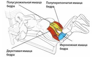Упражнение сгибание ног