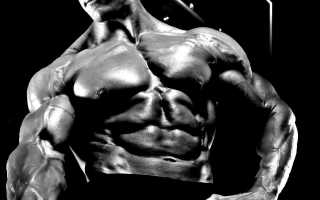 Тренировки с железом для похудения