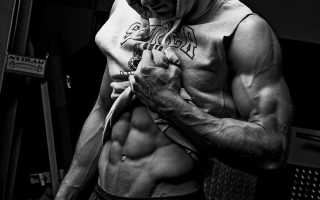 Какие физические упражнения развивают мышцы брюшного пресса