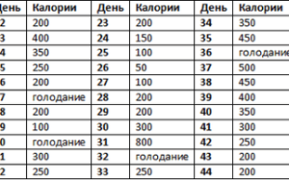 Диета 200 калорий в день