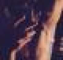 Базовые упражнения для эктоморфа программа