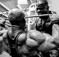 Круговая тренировка для похудения программа