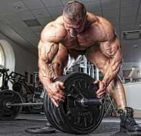 Волновая периодизация в бодибилдинге
