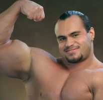 Базовые упражнения для рук в тренажерном зале