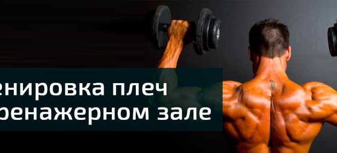 Тренажер для рук и плеч