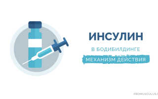 Ультракороткий инсулин в бодибилдинге