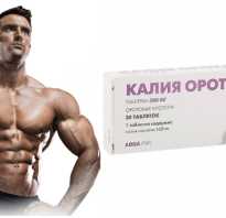 Рибоксин и калия оротат в бодибилдинге