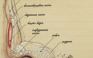 Йога ноги вверх