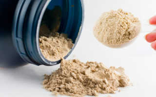 Протеины для начинающих для набора массы