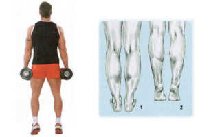 Упражнения для икры ног мужчине