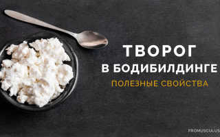 Творог на сушке бодибилдинг