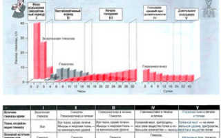 Глюкоза в бодибилдинге