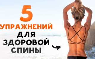 Упражнения для укрепления мышц верхней части спины