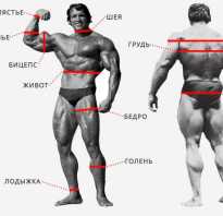 Пропорции тела в бодибилдинге