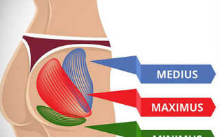Упражнения для укрепления ног и ягодиц