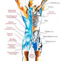 Кроссфит на турнике