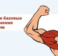 Тренажер для плечевого пояса