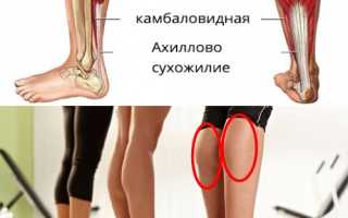 Базовые упражнения на икры
