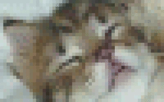 Программа тренировок для похудения отзывы