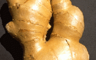 Имбирь в бодибилдинге