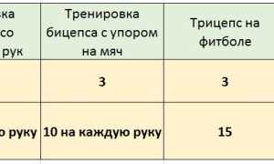 Упражнения на руки с фитболом
