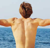 Силовые упражнения для спины в домашних условиях