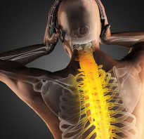 Упражнения для исправления спины