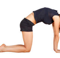 Йога для начинающих схемы упражнений