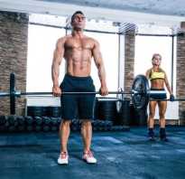 Занятия со штангой для начинающих