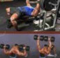 Бодибилдинг после 40 лет для мужчин