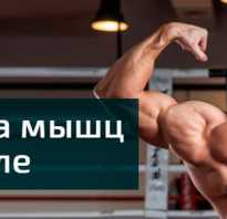 Тренажер для нижней части спины