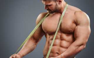 Замеры в бодибилдинге