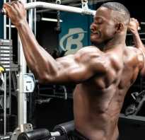 Лучшие упражнения на спину в зале