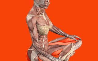 Упражнения для поверхности бедра