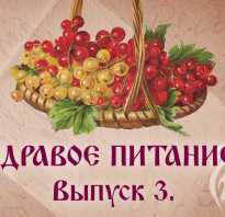 Йога после занятий