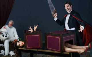 Сплит система в бодибилдинге