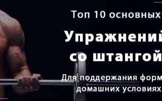 Базовые упражнения со штангой дома