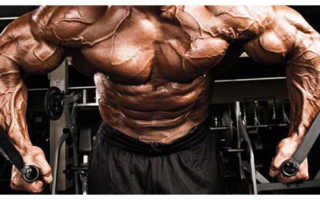 Сало в бодибилдинге