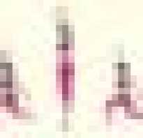 Простые упражнения для ног и ягодиц