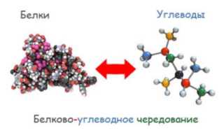 Диета белки жиры углеводы