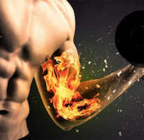 Катаболизм в бодибилдинге