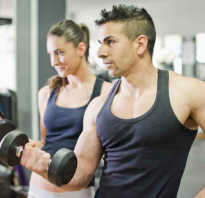 Занятие бодибилдингом для начинающих