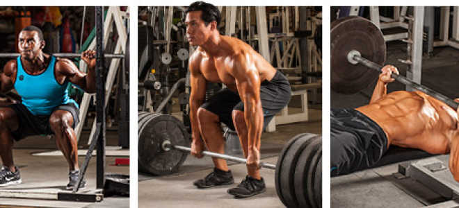 Не могу много есть бодибилдинг